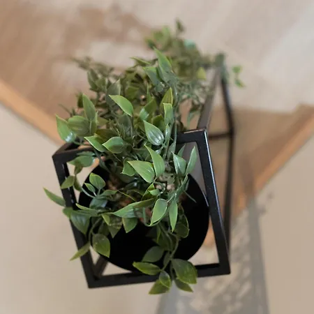 Διαμέρισμα Sunny 85sqm Flat In The Centre Of Thessaloniki, Delfon 5